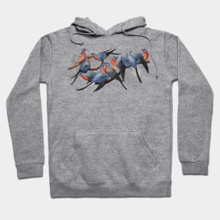 Passenger Pigeons Hoodie